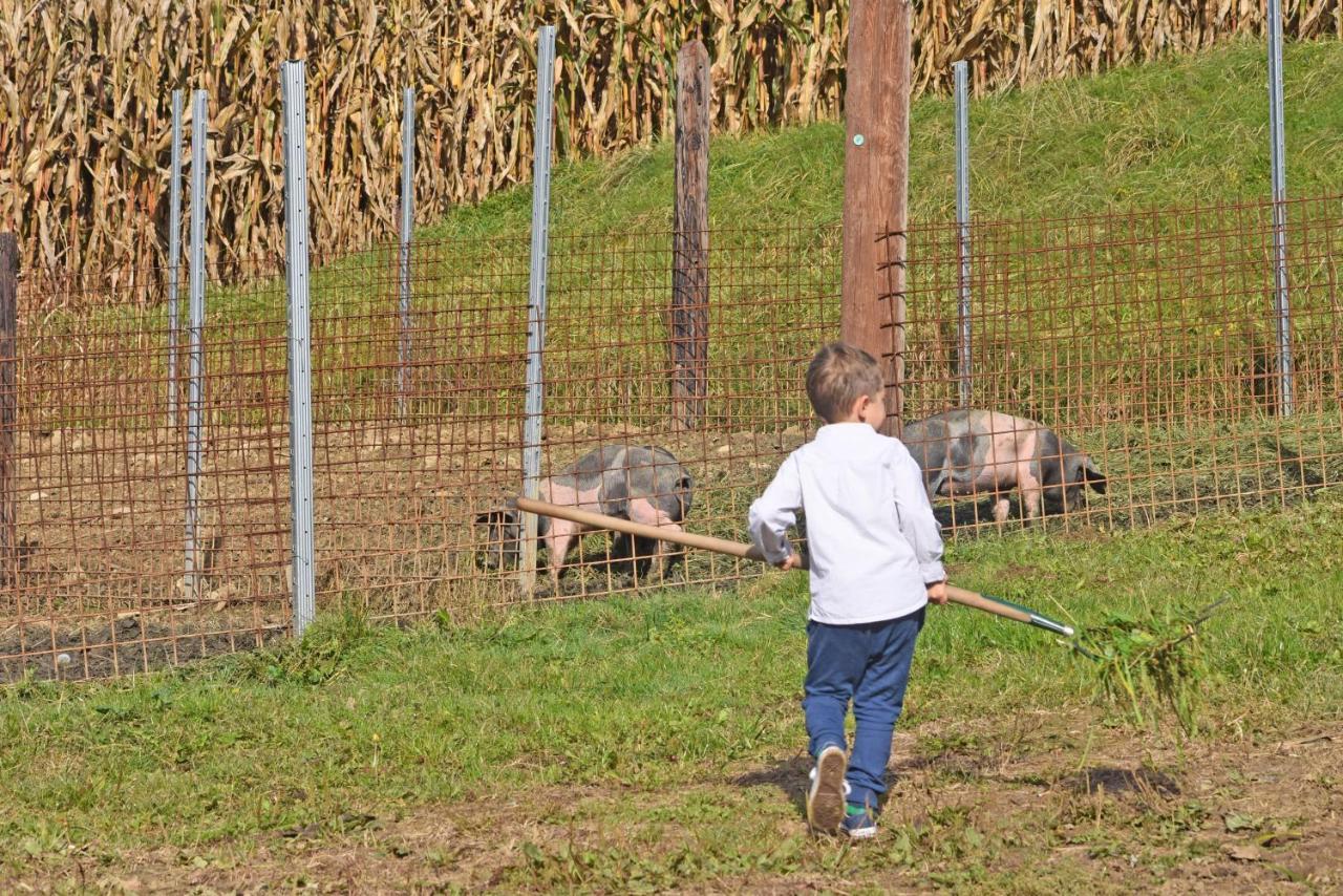 Am Jaukhof Familie Stiendl Neudorf im Sausal Exterior foto