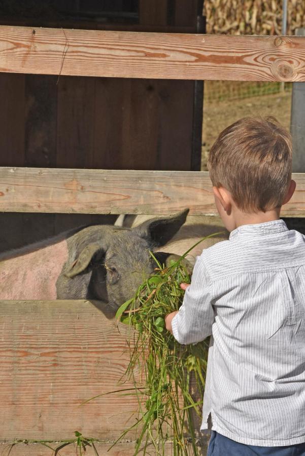 Am Jaukhof Familie Stiendl Neudorf im Sausal Exterior foto