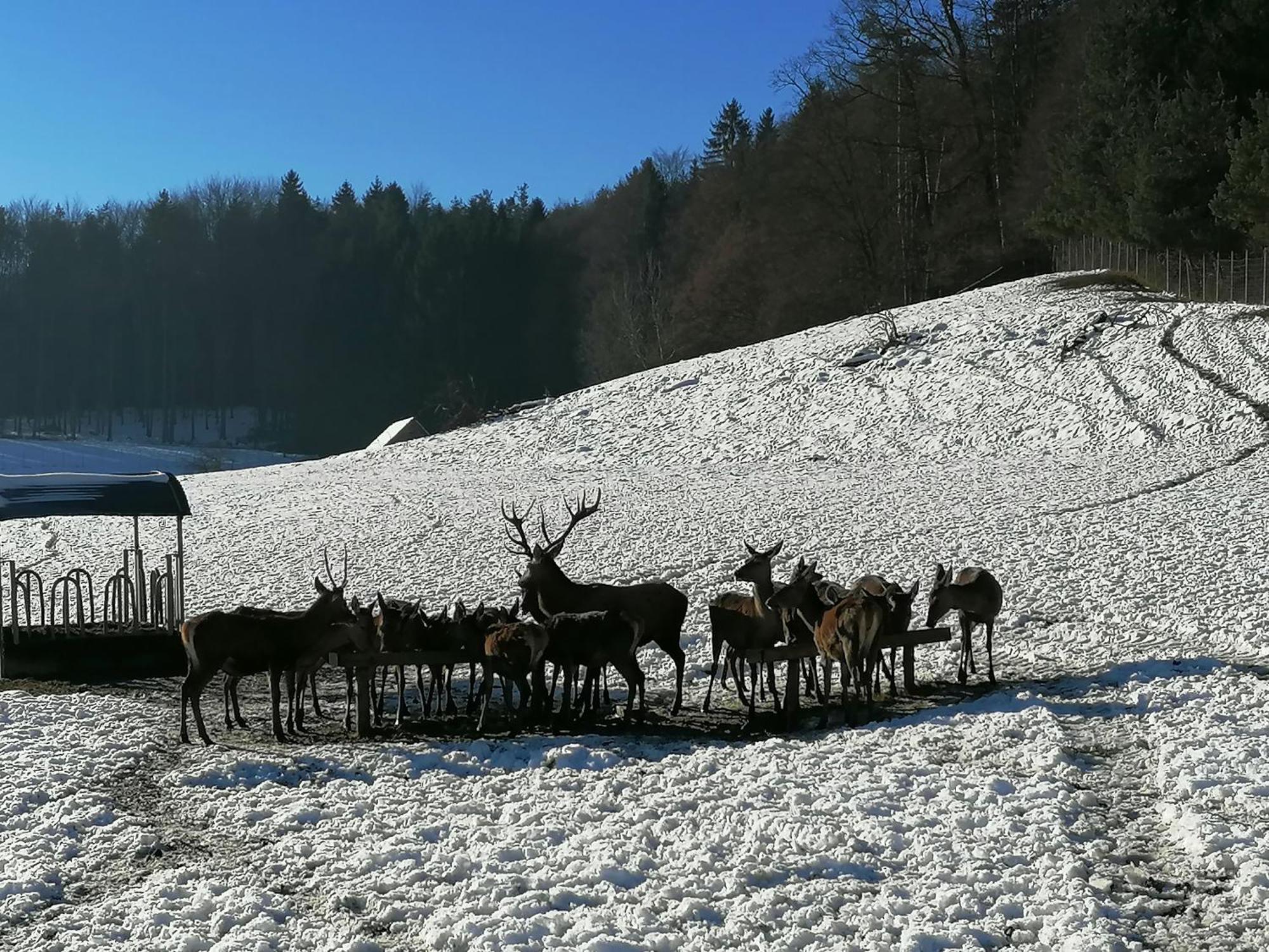 Am Jaukhof Familie Stiendl Neudorf im Sausal Exterior foto