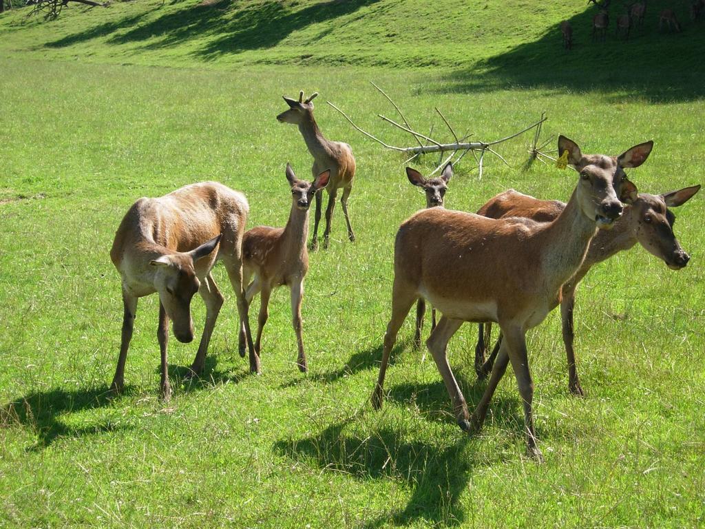 Am Jaukhof Familie Stiendl Neudorf im Sausal Exterior foto